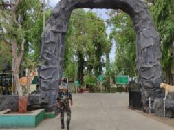 gir natural park