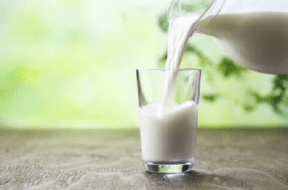 milk