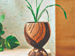 pot