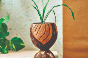 pot