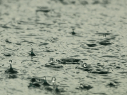 rain