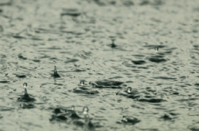 rain
