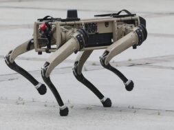 robot dog
