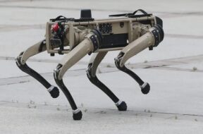 robot dog