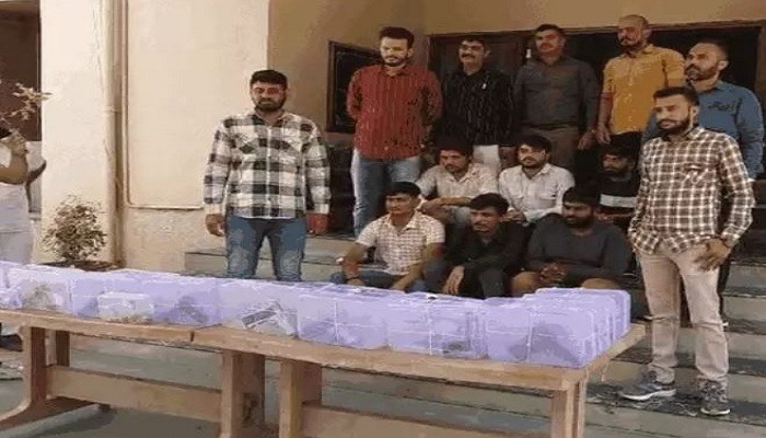 MPથી ખાનગી બસમાં હથિયારોની હેરાફેરી, 29 પિસ્તોલ અને 90 કારતૂસ સાથે 6 શખસો પકડાયા