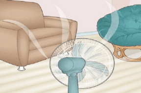 FAN