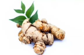 HALDI