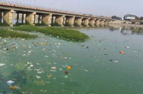 Tapi river, dirty