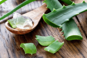 aloevera