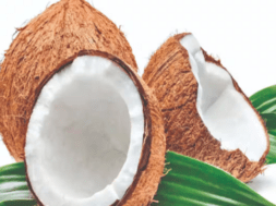 coconute