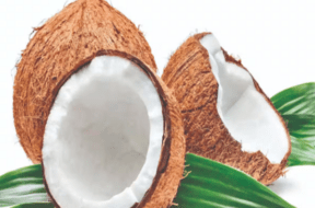 coconute