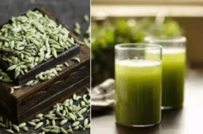 fennel