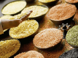 pulses