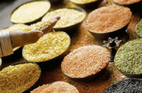 pulses
