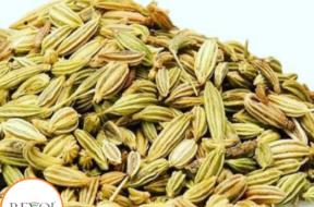 વરિયાળી 1