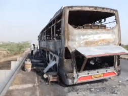 BUS