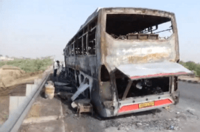 BUS