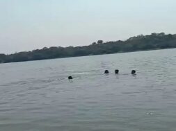 MAHISAGAR RIVER.