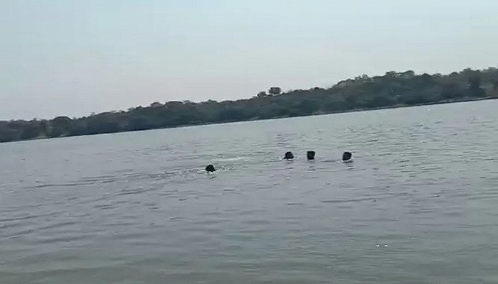 આણંદના ખાનપુર પાસે મહી નદીમાં નહાવા પડેલા એક જ પરિવારના 4 લોકોના ડૂબી જતાં મોત