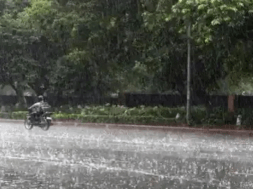 RAIN