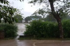 Rain, Farm