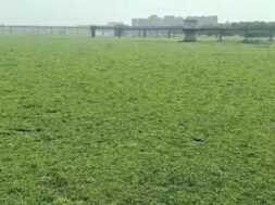 Tapi river, surat