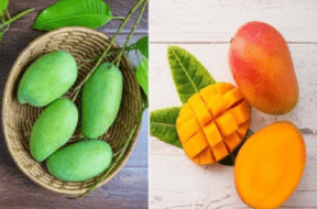 mango