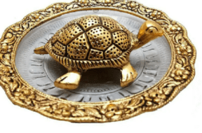 tortolse