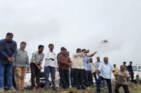 Bhal, plantation
