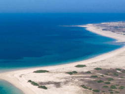 SEA DWARKA