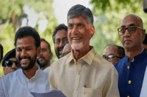 TDP
