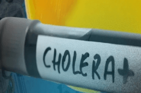 cholera