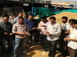 disa market yard