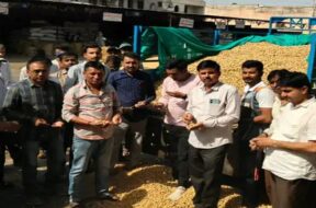 disa market yard