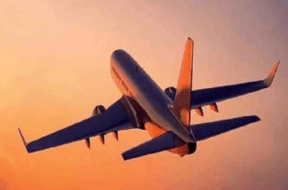 flight