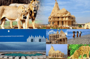 gujarat