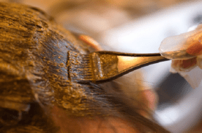 hair