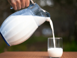 milk