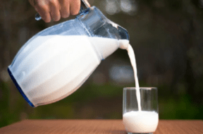 milk