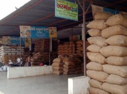 palanpur yard