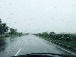rain