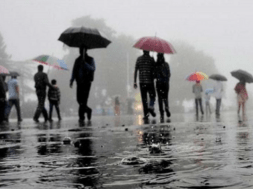 rain