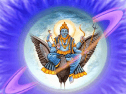 sani dev