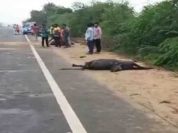 Accident, thara highway