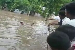 Baroda,vishamitri river
