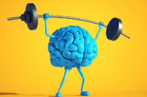 brain