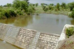 chek dam