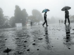 rain