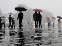 rain