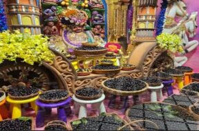 salangpur, kasthbhjan hanumanji